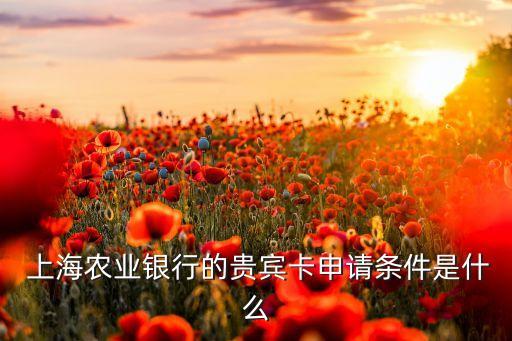  上海農(nóng)業(yè)銀行的貴賓卡申請條件是什么