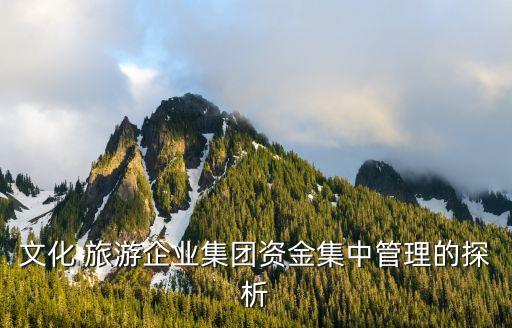 北京京西旅游公司財務分析,2023旅游公司財務分析