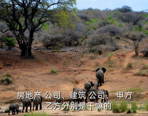  房地產(chǎn) 公司、建筑 公司、 甲方、乙方分別是干嘛的