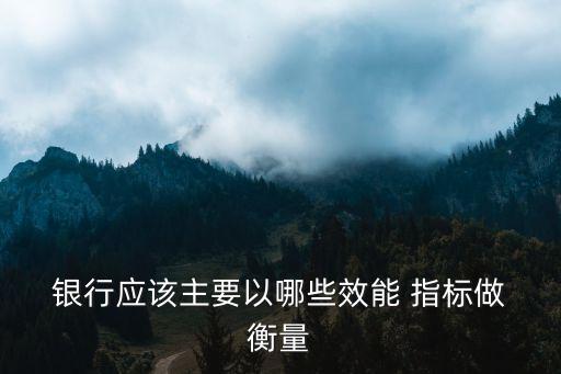  銀行應(yīng)該主要以哪些效能 指標(biāo)做 衡量