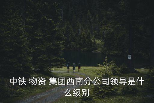 中鐵 物資 集團(tuán)西南分公司領(lǐng)導(dǎo)是什么級別