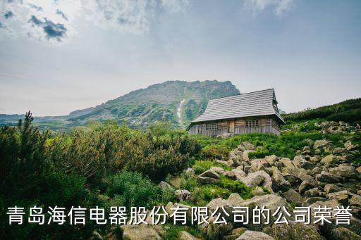 青島海信電器股份有限公司的公司榮譽(yù)