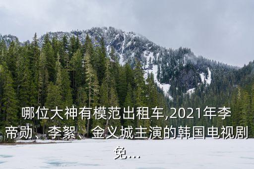 哪位大神有模范出租車,2021年李帝勛、李絮、金義城主演的韓國電視劇免...