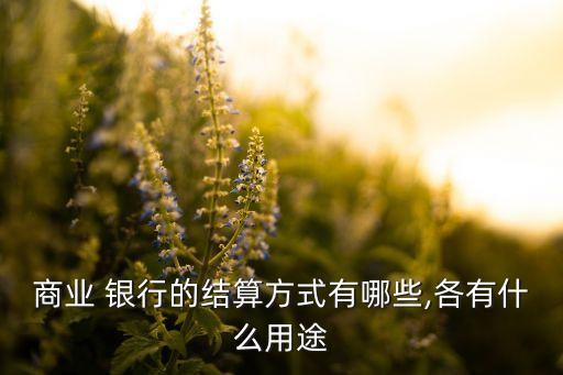 商業(yè) 銀行的結算方式有哪些,各有什么用途