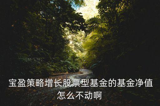  寶盈策略增長股票型基金的基金凈值怎么不動啊