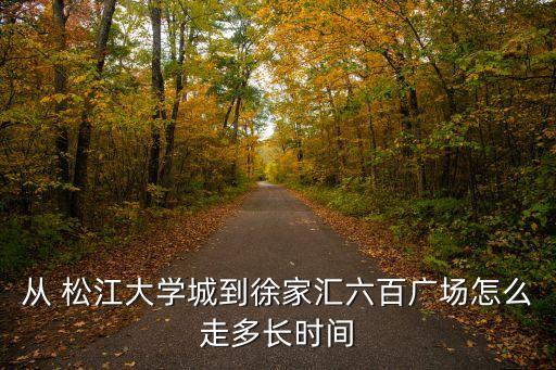 從 松江大學(xué)城到徐家匯六百?gòu)V場(chǎng)怎么走多長(zhǎng)時(shí)間