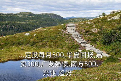 ...定投每月500,華夏回報(bào),嘉實(shí)300,廣發(fā)強(qiáng)債,南方500, 興業(yè) 趨勢...