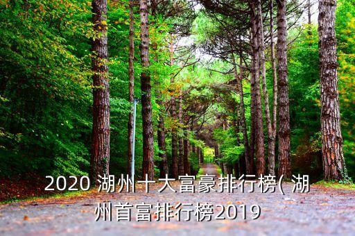 2020 湖州十大富豪排行榜( 湖州首富排行榜2019