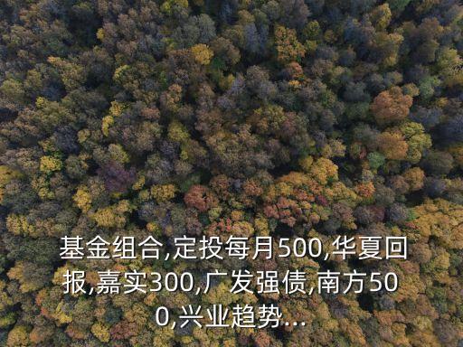  基金組合,定投每月500,華夏回報,嘉實300,廣發(fā)強債,南方500,興業(yè)趨勢...