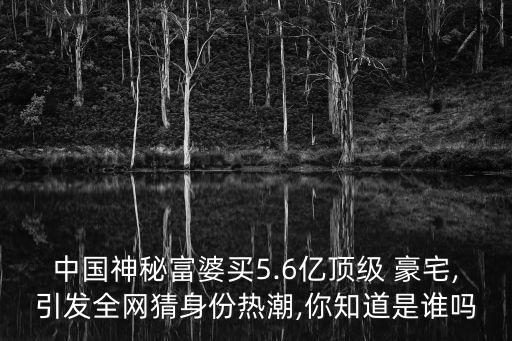 中國(guó)神秘富婆買5.6億頂級(jí) 豪宅,引發(fā)全網(wǎng)猜身份熱潮,你知道是誰嗎