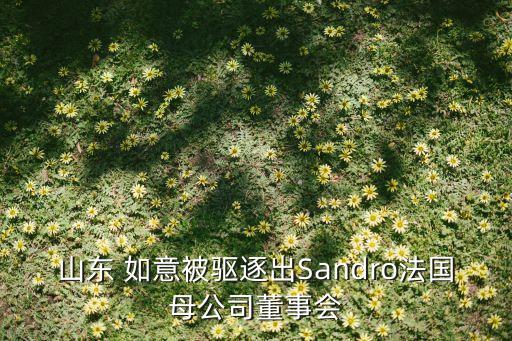 山東 如意被驅逐出Sandro法國母公司董事會