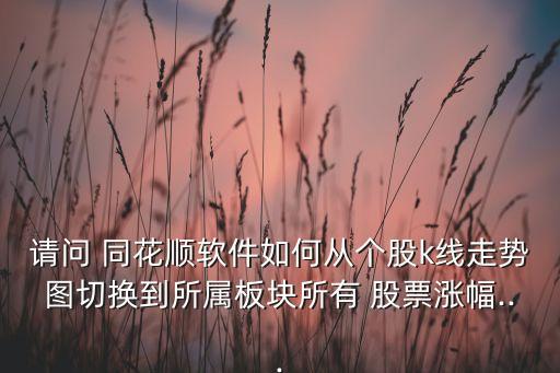 請(qǐng)問(wèn) 同花順軟件如何從個(gè)股k線走勢(shì)圖切換到所屬板塊所有 股票漲幅...