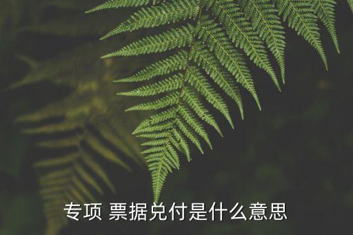 專項(xiàng) 票據(jù)兌付是什么意思