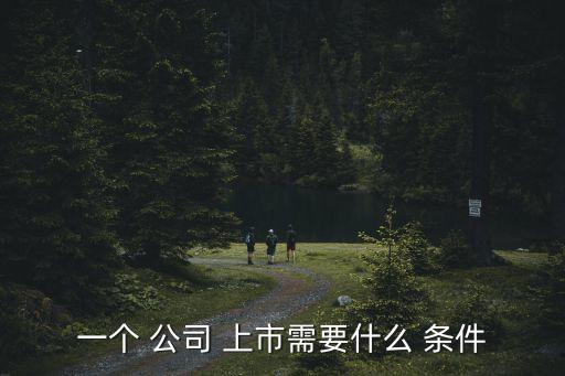 一個 公司 上市需要什么 條件