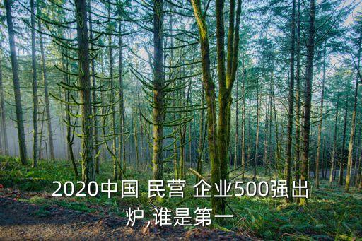 2020中國(guó) 民營(yíng) 企業(yè)500強(qiáng)出爐,誰(shuí)是第一