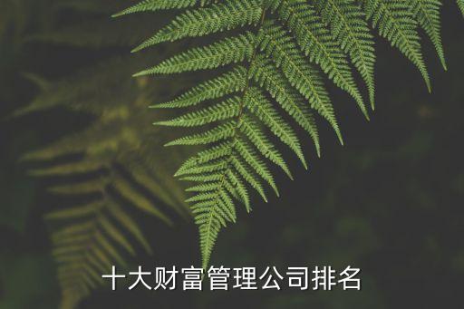 十大財(cái)富管理公司排名