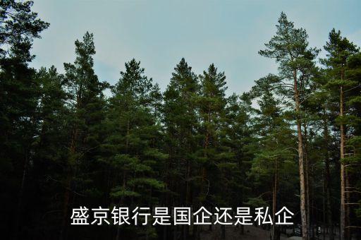 盛京銀行股份有限公司獨立董事,新華都購物廣場股份有限公司獨立董事