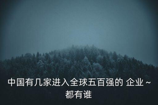 中國(guó)有幾家進(jìn)入全球五百強(qiáng)的 企業(yè)～都有誰