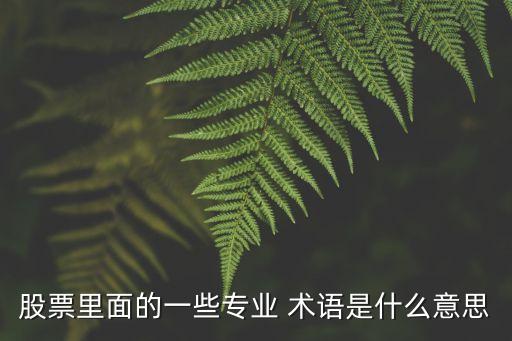 風(fēng)險投資術(shù)語