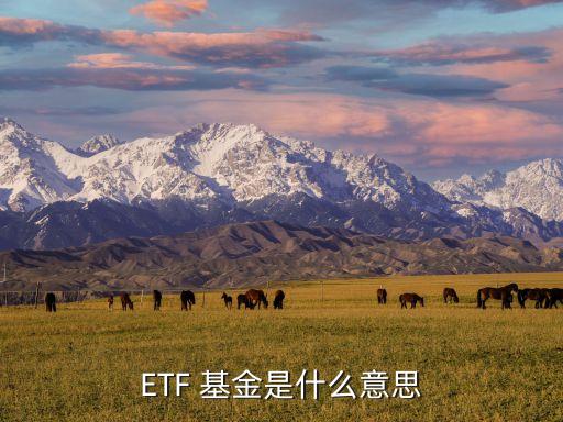 ETF 基金是什么意思