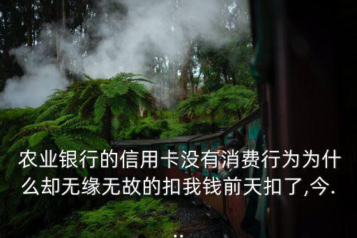  農(nóng)業(yè)銀行的信用卡沒有消費(fèi)行為為什么卻無緣無故的扣我錢前天扣了,今...