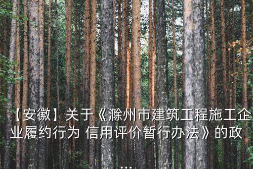 【安徽】關(guān)于《滁州市建筑工程施工企業(yè)履約行為 信用評價暫行辦法》的政...