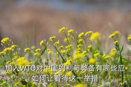 加入WTO對(duì)中國的利與弊各有哪些應(yīng)如何讓看待這一舉措