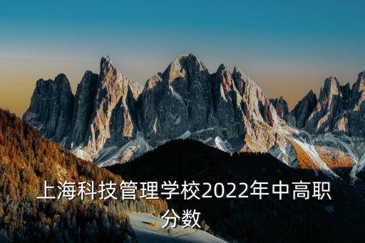  上海科技管理學(xué)校2022年中高職分?jǐn)?shù)