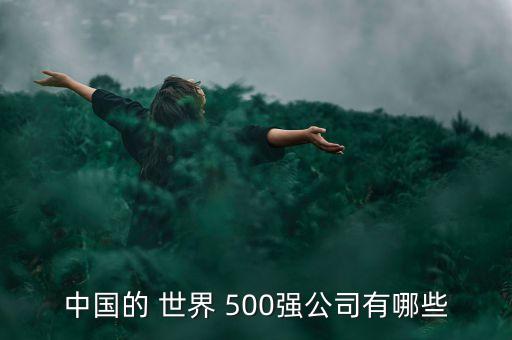 中國(guó)的 世界 500強(qiáng)公司有哪些