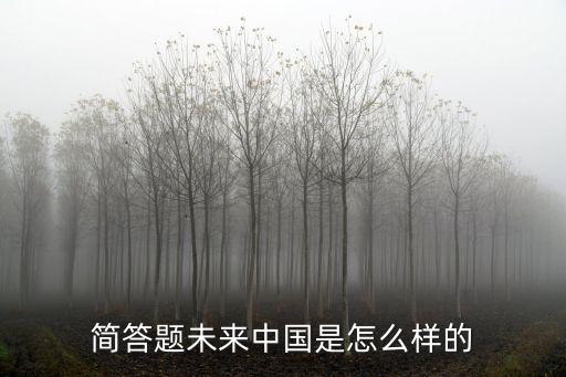 簡答題未來中國是怎么樣的