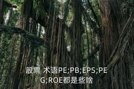 股票 術(shù)語(yǔ)PE;PB;EPS;PEG;ROE都是些啥