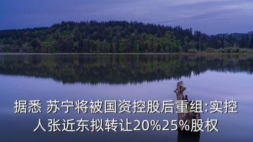 據(jù)悉 蘇寧將被國資控股后重組:實(shí)控人張近東擬轉(zhuǎn)讓20%25%股權(quán)