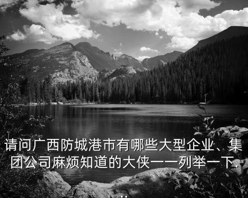 請問廣西防城港市有哪些大型企業(yè)、集團公司麻煩知道的大俠一一列舉一下...