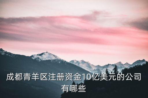 成都青羊區(qū)注冊(cè)資金10億美元的公司有哪些