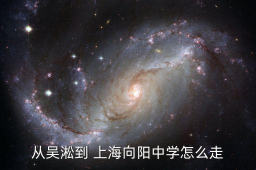 從吳淞到 上海向陽中學怎么走