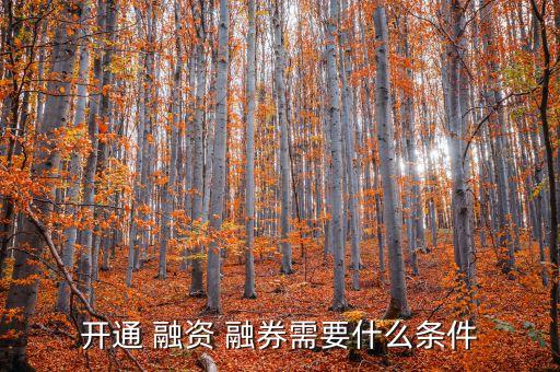 融資融券資格證券公司,證券公司融資融券業(yè)務(wù)管理辦法