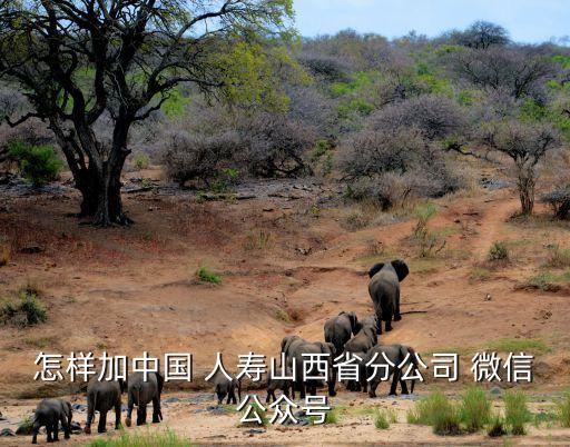 怎樣加中國(guó) 人壽山西省分公司 微信公眾號(hào)