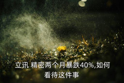  立訊 精密兩個月暴跌40%,如何看待這件事