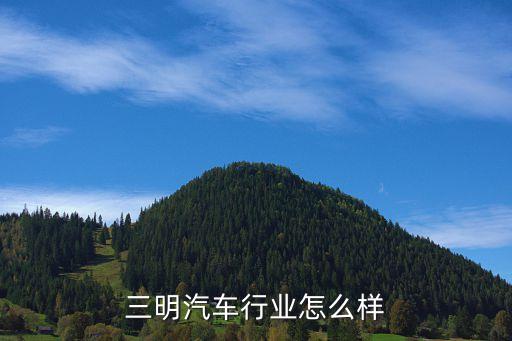 海峽能源集團(tuán)怎么樣,福建海峽能源集團(tuán)股份有限公司