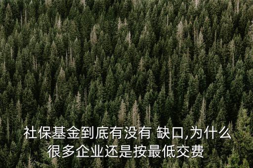  社保基金到底有沒有 缺口,為什么很多企業(yè)還是按最低交費