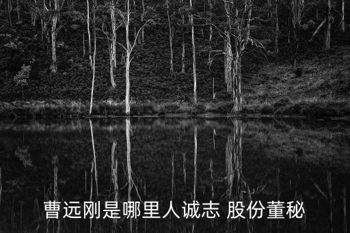 曹遠(yuǎn)剛是哪里人誠志 股份董秘