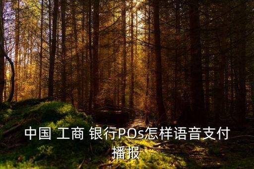 中國 工商 銀行POs怎樣語音支付播報