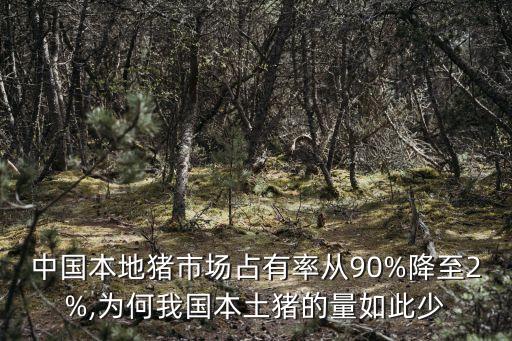 中國本地豬市場(chǎng)占有率從90%降至2%,為何我國本土豬的量如此少