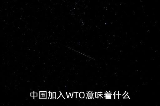 中國(guó)加入WTO意味著什么