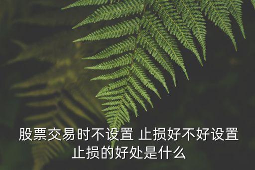 股票有止損嗎,股票怎么設(shè)置止損自動(dòng)交易