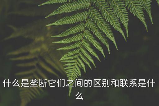 什么是壟斷它們之間的區(qū)別和聯(lián)系是什么