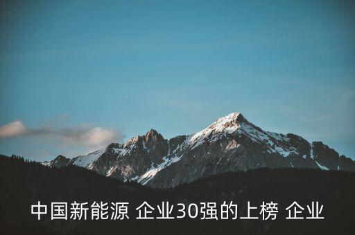 中國新能源 企業(yè)30強(qiáng)的上榜 企業(yè)