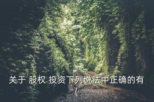 關(guān)于 股權(quán) 投資下列說法中正確的有(