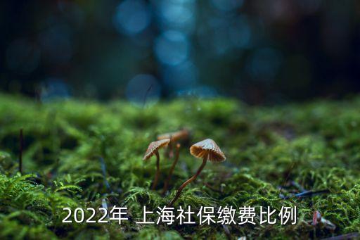 2022年 上海社保繳費(fèi)比例