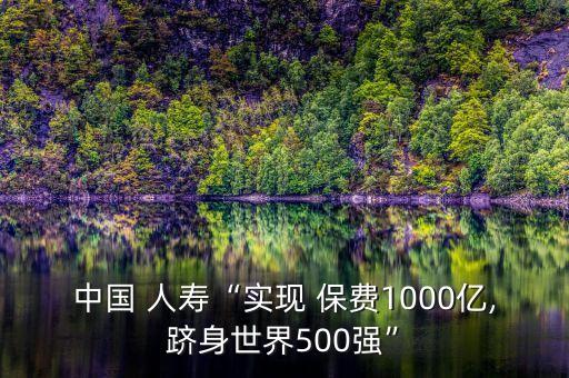 中國 人壽“實現(xiàn) 保費1000億,躋身世界500強”